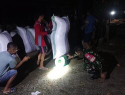Dinginnya Malam Tidak Pengaruhi Semangat, Babinsa Kodim 1404/Pinrang Dampingi Penyerapan Gabah Petani Oleh