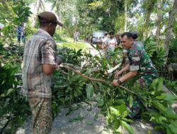 Babinsa Bulukamase Koramil 05/Sinjai Selatan Kodim 1424/Sinjai Gelar Karya Bakti Pembersihan dan Penebangan Pohon di Pinggir Jalan
