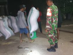 Tak Kenal Lelah, Babinsa Kodim 1404/Pinrang Terus Dampingi Bulog Serap Gabah Petani