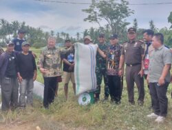 Dandim 1404/Pinrang Dampingi Bupati Pinrang Pantau Langsung Proses Penimbangan gabah petani