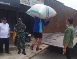 Pastikan Harga Rp 6.500′-/Kilogram, Dandim 1404/Pinrang Bersama Kadistan dan Ka Bulog Tinjau Penyerapan Gabah Petani