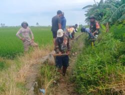 Penuhi Kebutuhan Air Petani, Babinsa Koramil-02 Kodim 1404/Pinrang Bersama Warga Bersihkan Saluran Irigasi