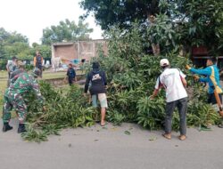 Babinsa Koramil-06 Kodim 1404/Pinrang dan Warga Bersihkan Ranting Pohon Demi Kenyamanan Pengguna Jalan