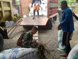 Babinsa Kodim 1404/Pinrang Kawal Kebijakan Presiden Naikkan HPP Gabah Rp 6.500 Per Kilo gram