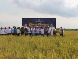 Nusa Kambangan Panen Perdana, Bangun Lumbung Ketahanan Pangan dan Beri Kesempatan Warga Binaan