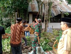 Antisipasi Korban Jiwa Babinsa Koramil-07/Tanete Rilau Bersama Warga Gotong Royong Bersihkan Ranting Dan Pohon