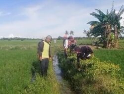 Penuhi Kebutuhan Air Petani, Babinsa Kodim 1404/Pinrang bersama Warga Membersihkan Saluran Irigasi