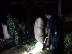 Petani Kelurahan Tanete Sambut Baik Pendampingan Serap Gabah Oleh Babinsa Koramil 1405-07/Tanete Rilau