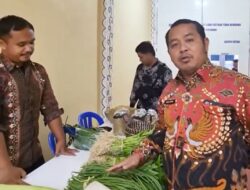 Labaru Saturday Fresh Market’, Lapas Banjarbaru Pasarkan Produk Warga Binaan kepada Pengunjung