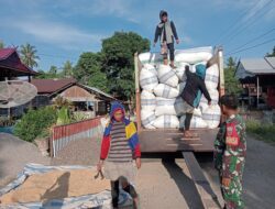Yakinkan Harga Sesuai HPP, Babinsa Kodim 1404/Pinrang Dampingi Bulog Serap Gabah Petani