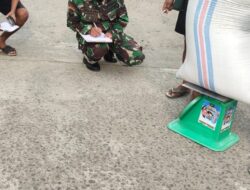 Yakinkan Lancar, Babinsa Kodim 1404/Pinrang Dampingi Bulog Serap Gabah Petan