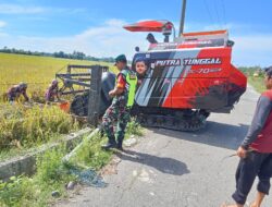 Babinsa Koramil 02/Seunagan Bantu Petani Panen Padi di Desa Binaan