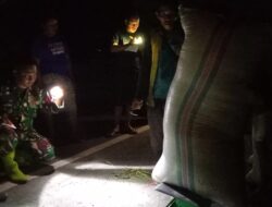 Babinsa Kodim 1404/Pinrang Dampingi Penyerapan Gabah Petani Oleh Bulog Sampai Tengah Malam