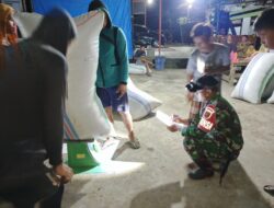 Penuh Semangat, Babinsa Kodim 1404/Pinrang Dampingi Penyerapan Gabah Petani Oleh Bulog