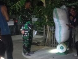 Tak Kenal Waktu, Babinsa Kodim 1404/Pinrang Dampingi Bulog Serap Gabah Petani