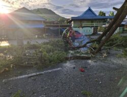 Aksi Tanggap Dan Gerak Cepat, Babinsa Koramil 1405-05/Mallusetasi Singkirkan Pohon Tumbang Yang Menutupi Badan Jalan