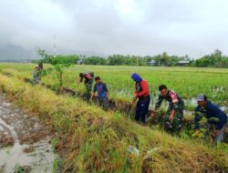 Penuhi Kebutuhan Air petani, Koramil-07 Kodim 1404/Pinrang Bersihkan Saluran irigasi Bersama Warga