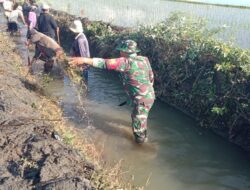 Penuhi Kebutuhan Air Petani, Babinsa Koramil 1405-06/Barru Gotong Royong Bersama Masyarakat Bersihkan Saluran Irigasi