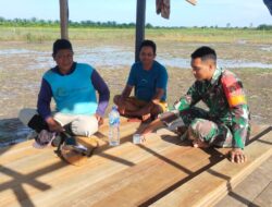 Pendampingan Penanaman Padi sistem TABELA oleh Babinsa Sebakung