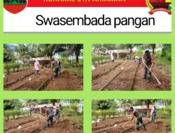 Untuk Meningkatkan Ketahanan Pangan Babinsa Bersama Masyarakat Melaksanakan Penanaman Kangkung Di Desa Binaan