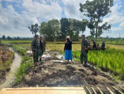 Pembukaan Jalan Baru TMMD Ke-124 di Dua Desa 100 Persen Rampung Dikerjakan