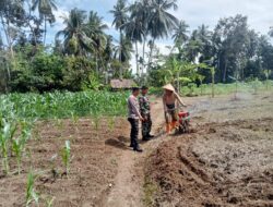 Babinsa Koramil 01/Pariaman Serda Ismardi Bantu Petani Jagung Membantu dan Menanam Bibit Jagung
