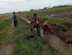 Persiapan turun Sawah, Babinsa Kodim 1404/Pinrang Bersihkan Saluran Irigasi Bersama Petani