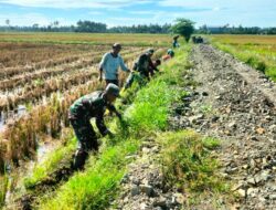 Persiapan turun Sawah, Babinsa Koramil-03 Kodim-1404/Pinrang Bersihkan Saluran Irigasi Bersama Petani