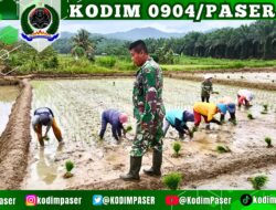 Kodim 0904/Psr Sigap Melakukan Pendampingan Kepada Kelompok Tani
