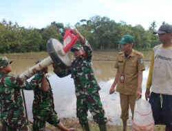 Personel Babinsa Koramil 1405-01/Ujung Bersama PPL Nyemplung Kesawah Bantu Petani Tanam Padi