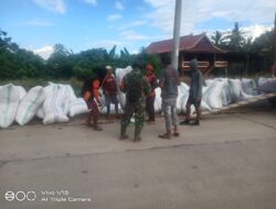 Gass Poll, Babinsa Kodim 1404/Pinrang Aktif Dampingi Bulog Serap Gabah Petani