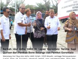 Menyambut Idul Adha 1446 H: Lapas Gorontalo Terima 2 Ekor Sapi Qurban dari Pemkab Bone Bolango dan Pemkot Gorontalo