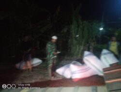Walaupun Malam Lebaran, Babinsa Kodim 1404/Pinrang Tetap Semangat Dampingi Penyerapan Gabah Petani Oleh Bulog