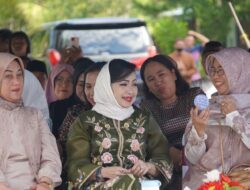 Pangdam XVIII/Kasuari Serahkan Hewan Qurban kepada Ketua Takmir Masjid Al-Mujahidin