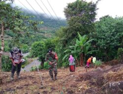 Personel Babinsa Koramil 1405-08/Tanete Riaja, PPL Dan Petani Tanam Jagung Di Desa Harapan