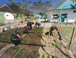 Dukung Ketahanan Pangan, Danramil Bersama Anggota Koramil 1405-05/Mallusetasi Manfaatkan Lahan Terbatas Jadi Kebun Sayur