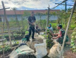 Sambangi Warga Desa Yang sedang memanen sayuran di desa Binaan