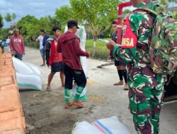 Babinsa Kodim 1404/Pinrang Dampingi Bulog Serap Gabah Petani Di Wilayah Binaan