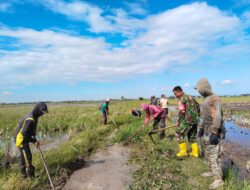Persiapan turun Sawah, Babinsa Kodim 1404/Pinrang Bersihkan Saluran Irigasi Bersama Petani