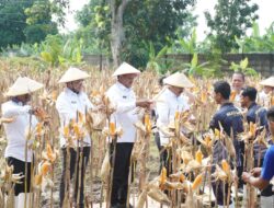 Menteri Imigrasi dan Pemasyarakatan Tinjau Lokasi Ketahanan Pangan LP Terbuka Kendal