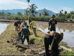 Penuhi Kebutuhan Air Petani, Babinsa Koramil 07 Kodim 1404/Pinrang Bersama Warga Bersihkan Saluran Irigasi