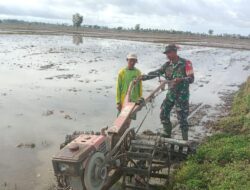 Babinsa Kodim 1404/Pinrang Petani Bajak Sawah Dengan Menggunakan Hand Traktor