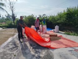 Melalui Komsos, Babinsa Koramil 15/Tiro Kenalkan Metode Pengeringan Padi Modern kepada Petani