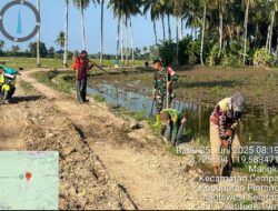 Sukseskan Ketahanan Pangan, Babinsa Koramil-06 Kodim 1404/Pinrang Bersama Warga Bersihkan Saluran Irigasi
