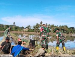 Babinsa Koramil-07 Kodim 1404/Pinrang Bantu Warga Perbaiki Pintu irigasi