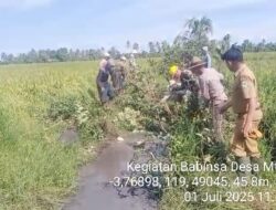 Penuhi Kebutuhan Air petani, Koramil-02 Kodim 1404/Pinrang Bersihkan Saluran irigasi Bersama Warga