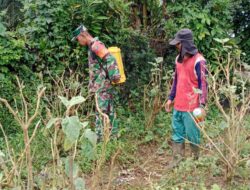 Babinsa Membantu Masyarakat Penyemprotan Lahan Yang Akan Di Gunakan Untuk Bercocok Tanam Bagi Masyarakat Setempat