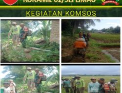 Swasembada Pangan, Bersama Perangkat Desa Babinsa Koramil 02/Sungai Limau Cek Irigasi Sawah Petani di Wilayah Binaan
