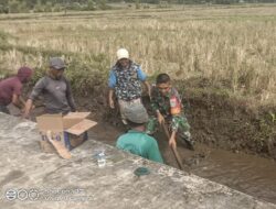 Babinsa Koramil Tangse Bersama Warga Bersihkan Irigasi, Pastikan Semua Sawah Tetap Produktif