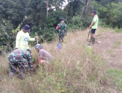 Penghijauan Di Wilayah Binaan, Jajaran Personil Koramil 03/Baraka Bersama Warga Tanam 100 Pohon Mahoni